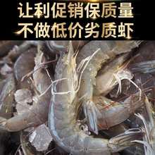 大虾青岛大海虾鲜活冷冻白虾对虾新鲜海捕海鲜厂家直销代发亚马逊
