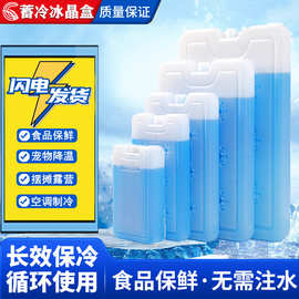 冰盒无需注水反复冷藏空调制冷冰晶保鲜冷链摆摊宠物冰板降温冰包