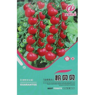 �����r�S��ؐؐ�����}Ů�����t���N�� �ۼt����֭�}Ů������