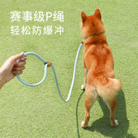 跨境狗狗牵引绳中大型犬通用安全扣狗链项圈遛狗P链宠物用品批发
