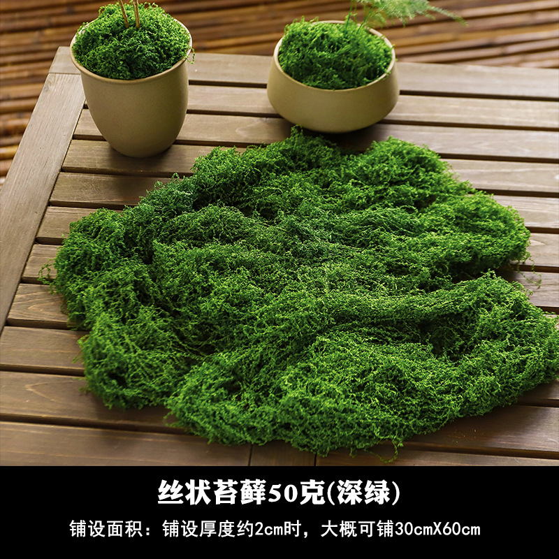 Simulación de musgo artificial de fibra de tela de peluche Micropisaje Disposición ornamental Césped bonsai maceta decoración paisajística