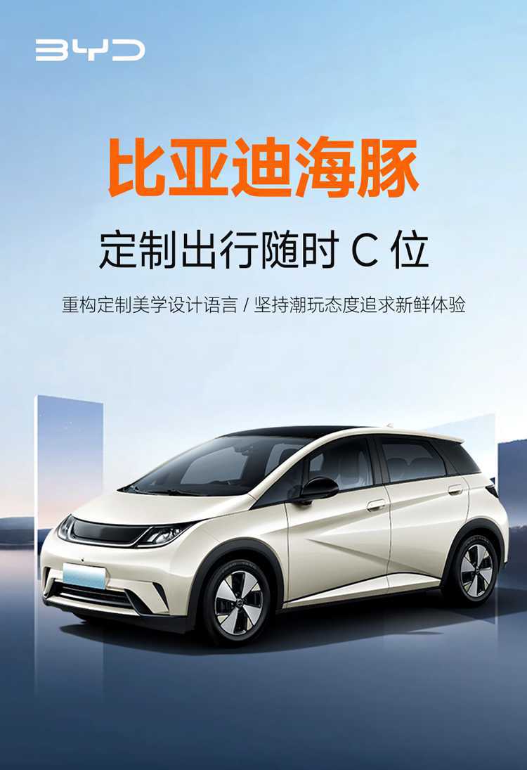 2025 Byd Dolphin Vitality Edition Special Car Seat Cushion Four Seasons Free Rider Edition Full Surround Seat Cover