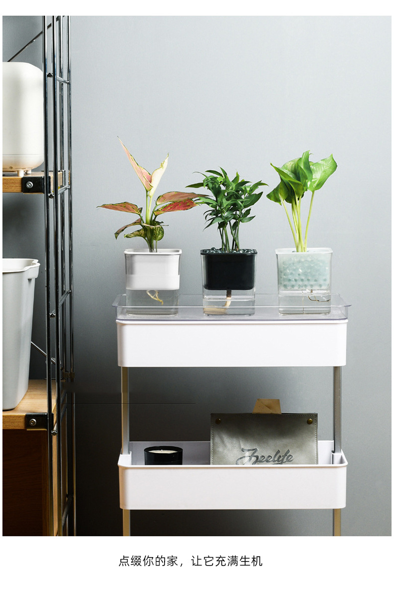 透明可视懒人绿萝自动吸水花盆花瓶方形大号塑料水培绿植养殖盆-