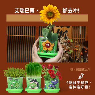 С�W������ȤζDIYС���Ի���ֲ��Nֲ�҃�����С�[���YƷ���l