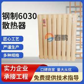 厂家批发钢制柱式60*30 钢二柱GZ206工程 家用水电暖散热器暖气片