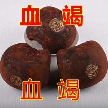 Ѫ������� ӡ��ʹ���Ѫ�� �ʹ�Ѫ��  һ���s50������