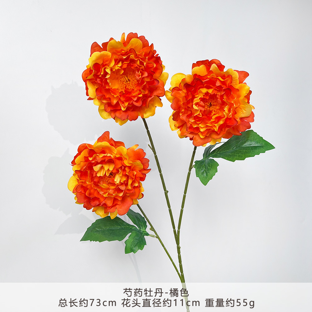 YN-Peony Hoa Mẫu Đơn-Cam