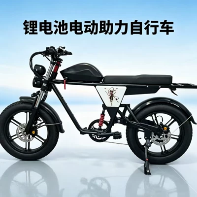 20inch Off-Road Variable Speed Electric Bicycle Adult Electric Vehicle Mountain Motorcycle Battery Vehicle Off-Road Electric Bicycle (Elektrikli motosikletlər)