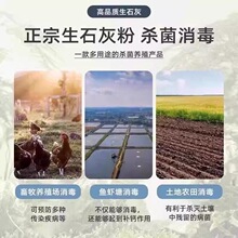 �N��ʯ�ҷ���ʯ�Қ��x��������˵���߷��Bֳ�����������