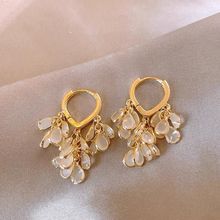 2025耳环韩式轻奢时尚百搭水滴长款流苏耳扣女气质温柔小众