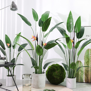 羳lBֲ˽پGֲ˽͏d[҃b