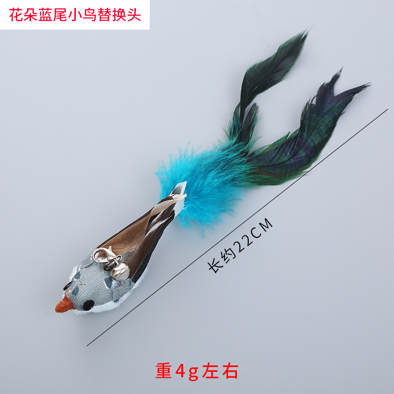 꽃 푸른 꼬리 새 교체 머리