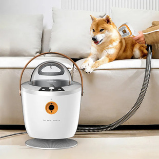Pet Blower Machine Hair Blow Drying Pet Beauty Vacuum Cleaner Full Set of Accessories Brush Two-in-One Dog and Cat Hair Dryer