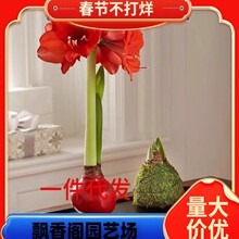 ��피tϞ���ذ�N���M��Ϟ��o��ˮ���B�o���˺��B������Y��