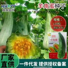 羊角蜜种子甜瓜种籽羊角酥西瓜香瓜种孑家庭菜园瓜果蔬菜种子