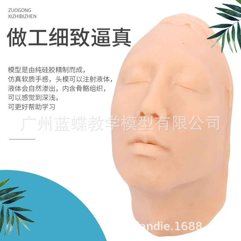 ���Թ轺ͷģ �沿ע��Ƥ������沿ģ�� ΢��ѧϰָ����ѧ����