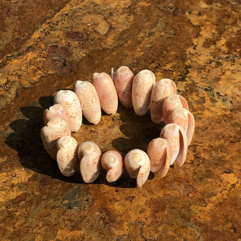 Conchas naturales conchas pulseras collares diy fresco versátil joyería correa de mano tienda artesanía característica fuente
