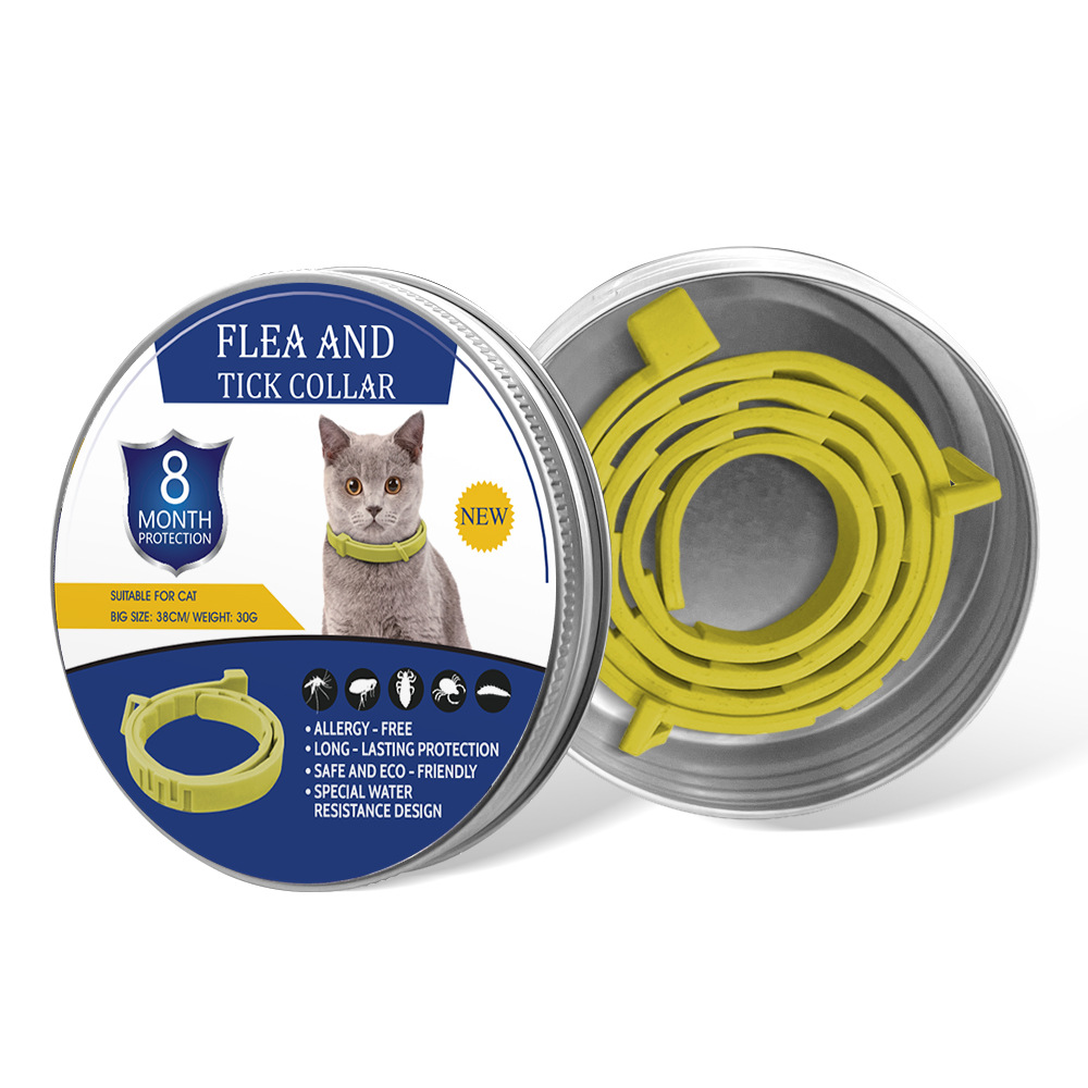 노란 고양이 디자인 선물 상자