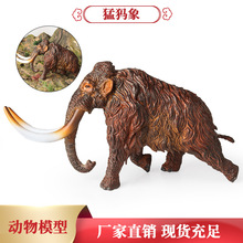 ���ӕr�ڌ����ͪw��������ģ������h�ń���X����ͯ�к����