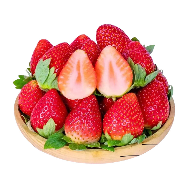 Shandong Cream Strawberry Seasonal Fruit Early Strawberry Sf Free Shipping Origin Direct Delivery Cream Strawberry One Piece Dropshipping