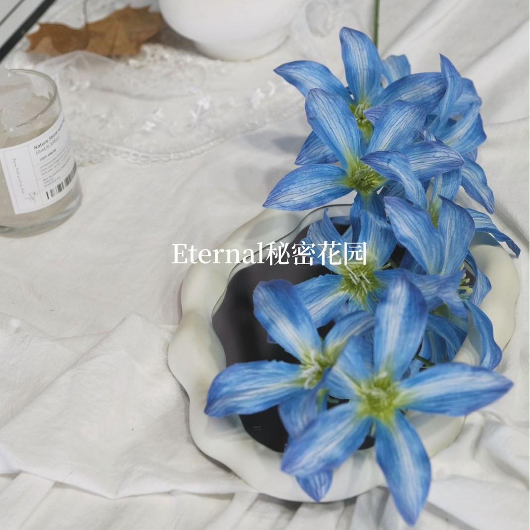 알리 꽃 바다 블루