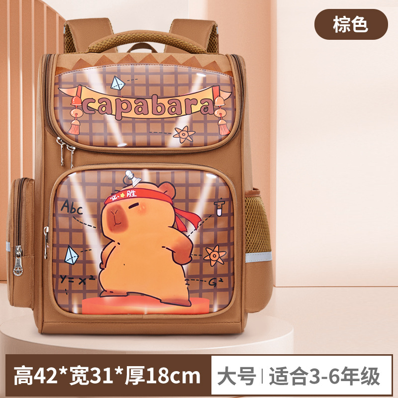 브라운 L사이즈 A