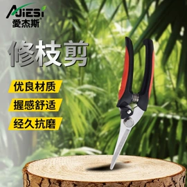 修枝剪;铁皮剪;烹饪勺铲