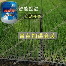 �r������ӟᾀ����ؿص؟ᾀ늼ӟᾀ�ؿ����Ӝؾ����ҿ՚�����