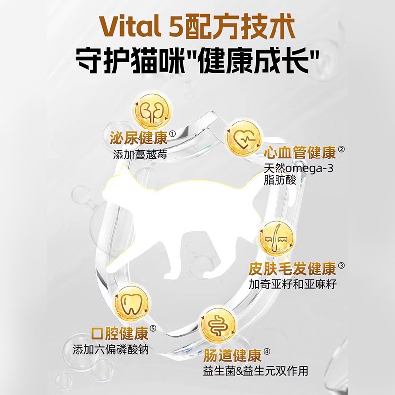 México Minino Mini Nuo Comida para gatos Superalimentos a precio completo Comida para gatos Comida para gatos adultos Comida para gatos jóvenes 1.5kg