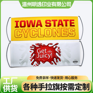 ��I������������PET�����������Ɍ��������������s�����춨��