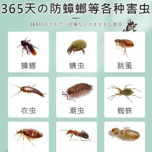 Japanese camphor balls wardrobe dehumidifying, anti-mold, anti-insect, moisture-proof, deodorizing, anti-insect, room anti-cockroach, clothing anti-moth, dehumidifying