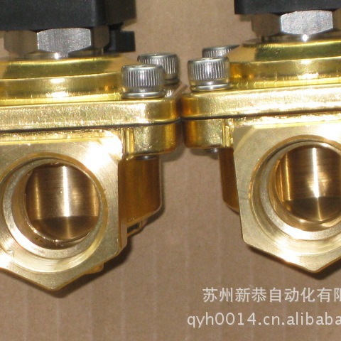 SA21330DXSNT 原装全新NASS magnet 113-030-0035 水阀SHAKO