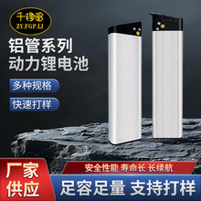 �羳�S��ֱ��36V48V�ۯB늄�܇̨⏸���}�{����˹�����D����늳�