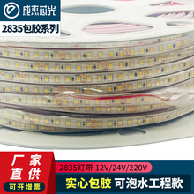 灯带led 软灯条低压防水包胶线条灯ip68户外喷泉泳池亮化水底灯带