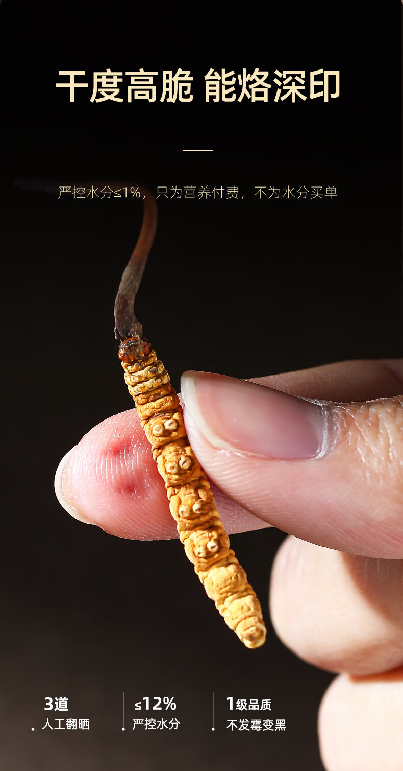 Premium Cordyceps Sinensis Dried Herb 1g Box 5 Stems Whole Fruiting Bodies for Traditional Soup and Decoction specifications