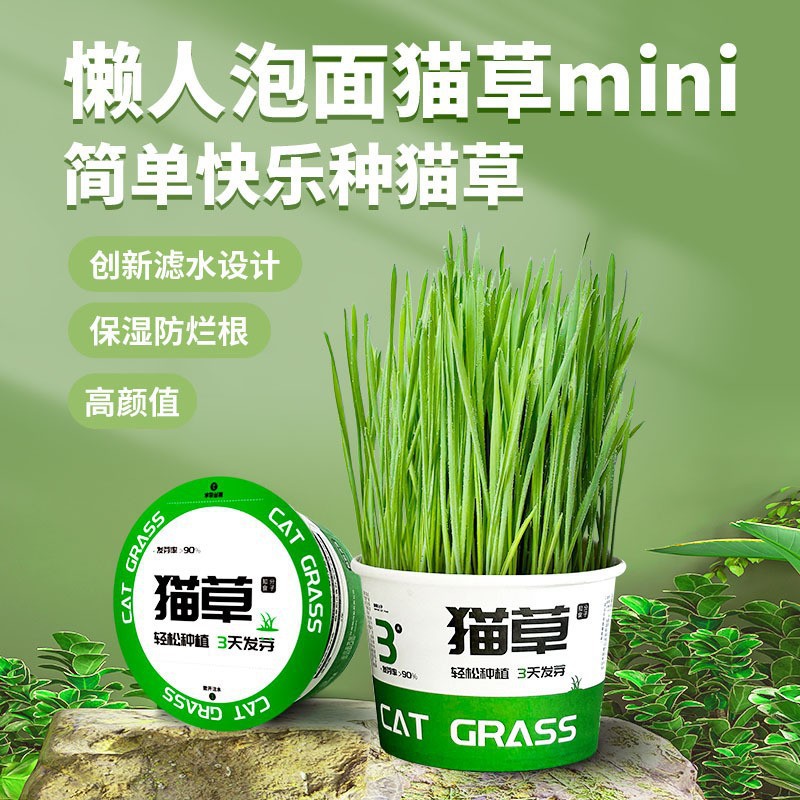 Lazy Cat Grass Canned Hydroponic Cat Hair Removal Ball to Aid Digestion Snacks Instant Noodles Cat Grass Potted Cat Pet Supplies