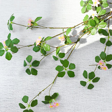 ��ʽ�U������^��ɏ�~ ���~���ٗl����ٻ����� ���s�����^��ɏ�~