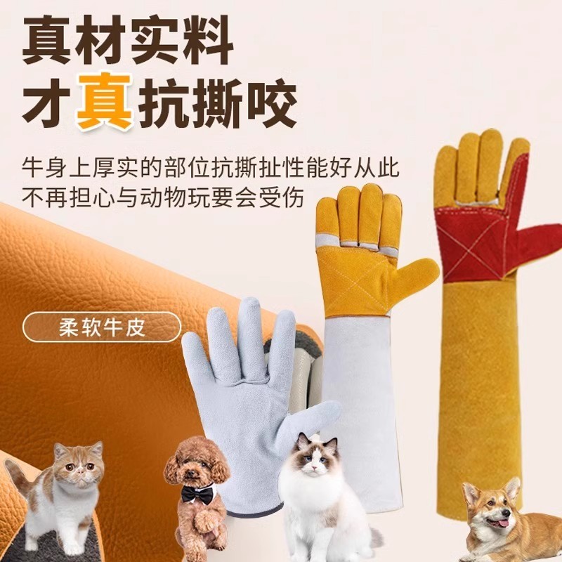 手袋をかむのを防ぐために、猫をかむのを防ぐために、犬を訓練します。|undefined