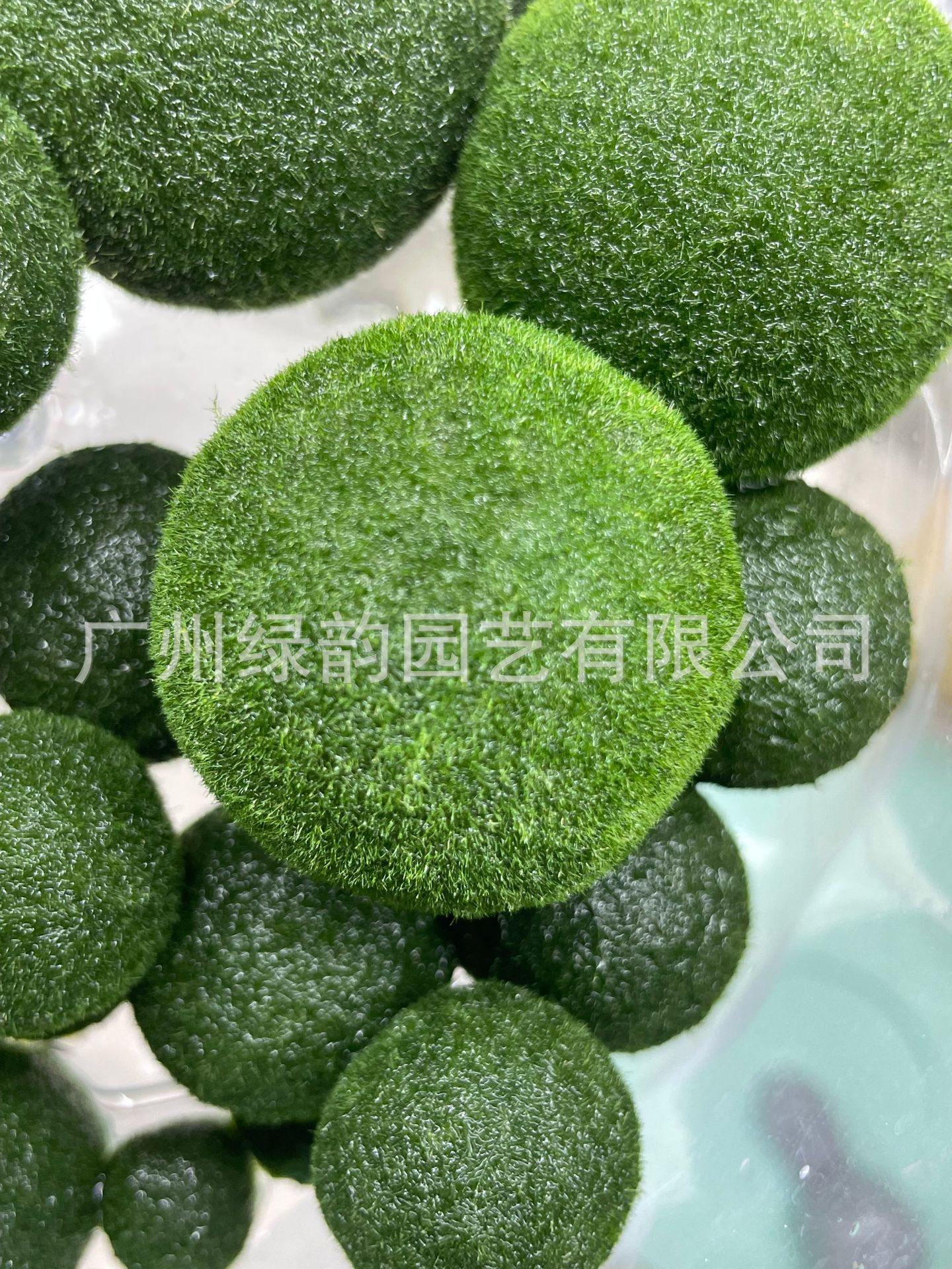 25923bd010910228917586f4ea4dc5