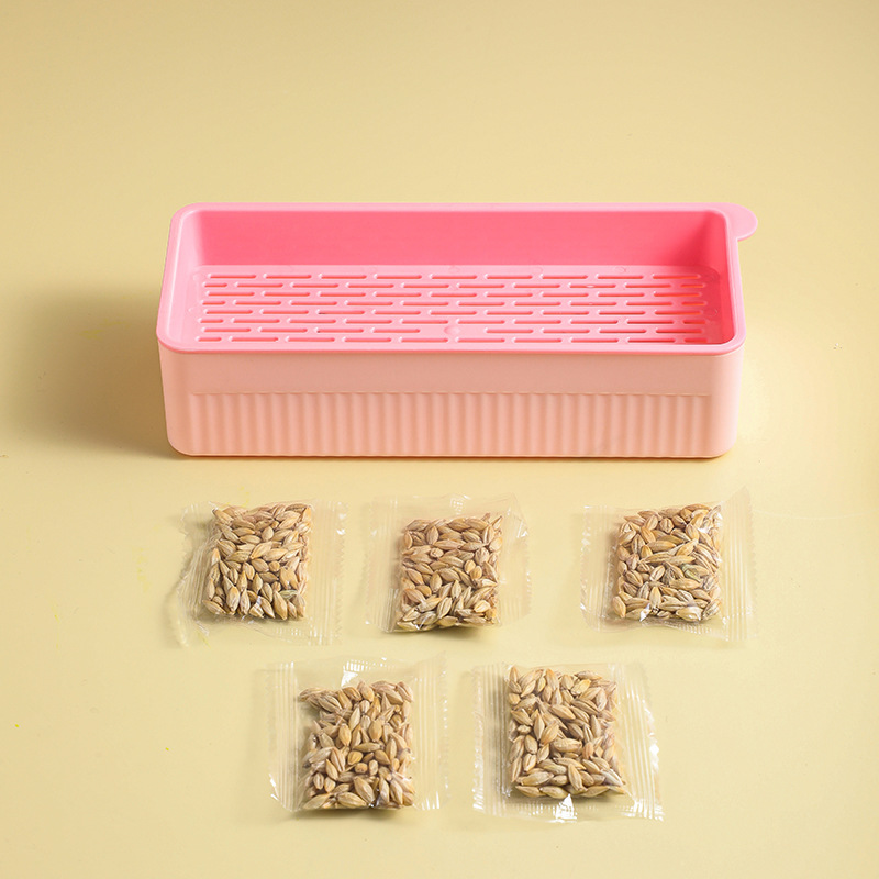 Nuevo tipo de caja de plantación de hierba para gatos sin suelo, set de hierba para gatos, aperitivos de hierba hidropónica, artículos para mascotas