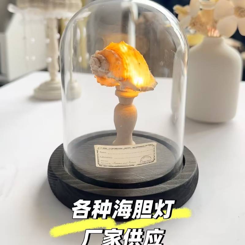 Concha de erizo de mar, lámpara de medusas, paquete de material, equipo de construcción, actividad hecha a mano, adornos de luz nocturna, luz de ambiente, regalo de alta gama