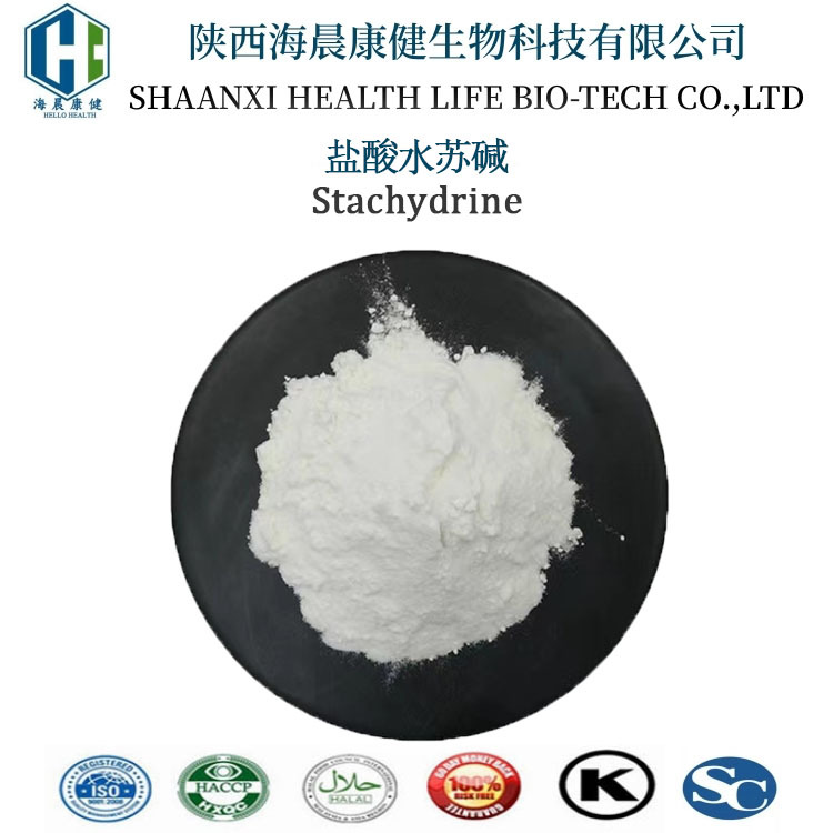 盐酸水苏碱 保健品原料益母草提取物98%水苏碱4136-37-2海晨康健