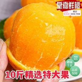 橙;柑桔;服务商品