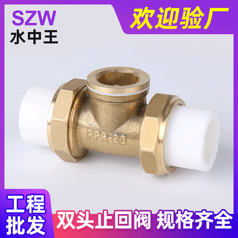 PPR双头热熔黄铜卧式止回阀单向阀 4分6分DN25逆止阀止逆阀单向阀