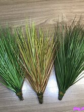 С�� 혞���Ƥ�� ��z̦�� �Ѳ� �b��쾰���~�ݶ�݅��JȔ��