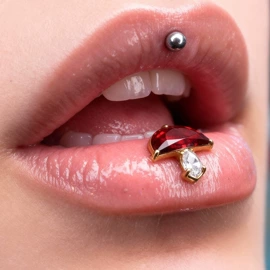 耳环;项链;首饰套装