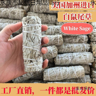 ����β����������White Sage������޹�ȃ������g��Ѫ��ѩ��