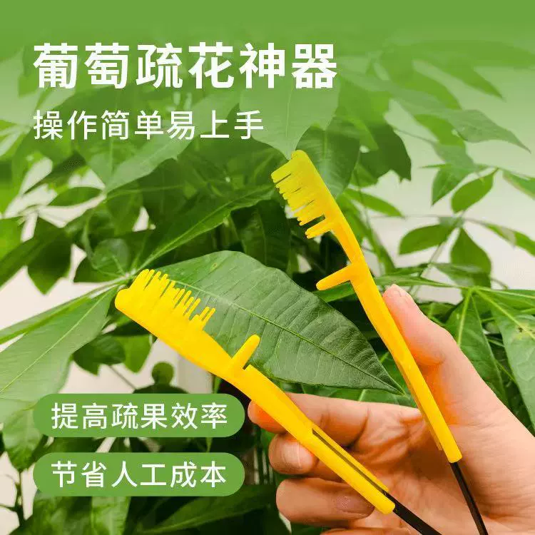 Новый виноградный редкий цветочный аппарат