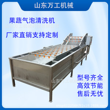 全自动各种清洗药材土豆气泡机多功能膨化机食品级爆米食品级认证