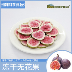 冷凍乾燥イチジク片メーカー卸売り冷凍乾燥果物片イチジク片簡単な食事焙煎原料インスタントスナック